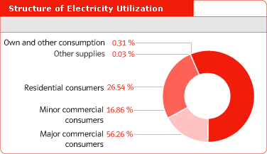 Structure of Electricity Utilization