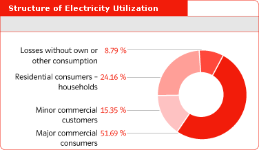 Structure of Electricity Utilization