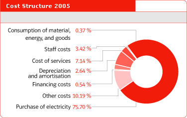 Cost Structure 2005