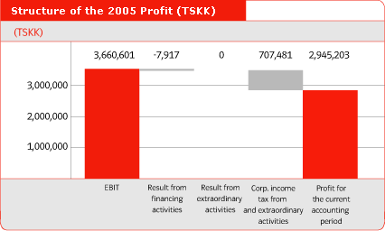 Structure of the 2005 Profit (TSKK)