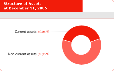 Structure of Assets at December 31, 2005