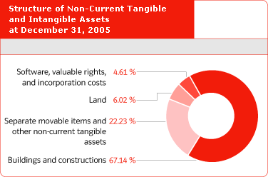 Structure of Non-Current Tangible and Intangible Assets at December 31, 2005