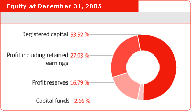 Equity at December 31, 2005