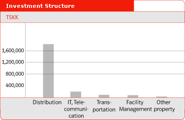 Investment Structure