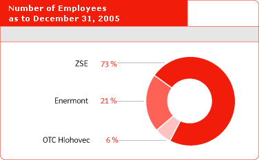 Number of Employees as to December 31, 2005