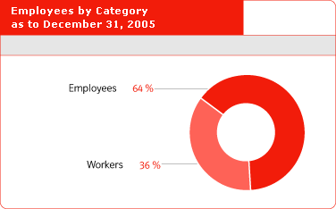 Employees by Category as to December 31, 2005