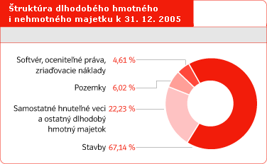 truktra dlhodobho hmotnho i nehmotnho majetku k 31. 12. 2005