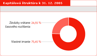 Kapitlov truktra k 31. 12. 2005