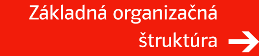 Zkladn organizan truktra