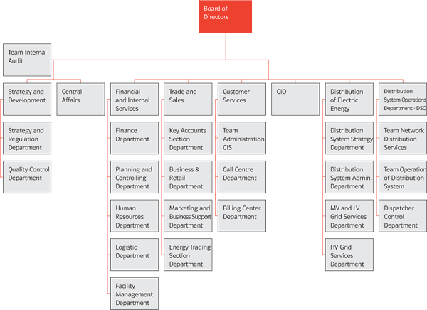 Organizational Scheme at 31st December 2006