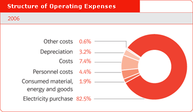 Structure of Operating Expenses in 2006