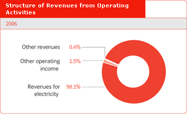 Structure of Revenues from Operating Activities in 2006