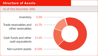 Structure of Assets