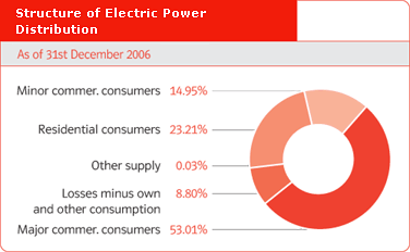 Structure of Electric Power Distribution